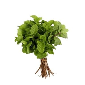 Ramo de hortelã verde fresco com folhas vibrantes e caules agrupados por um barbante, exibido em fundo branco.